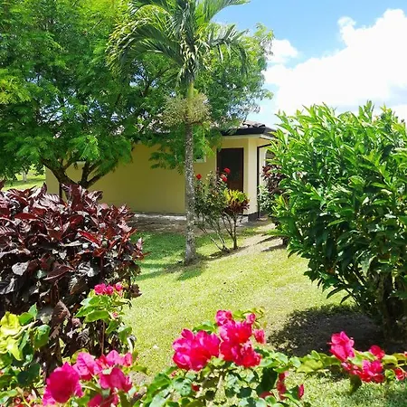 Top Rated - Lake View Arenal Suite - 2025 Traveller Awards Winner